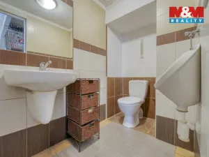 Prodej rodinného domu, Chodová Planá, Pivovarská, 254 m2