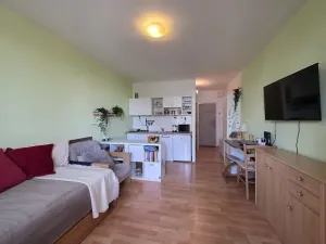 Prodej bytu 1+kk, Brno, Opálkova, 24 m2
