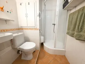Prodej bytu 1+kk, Brno, Opálkova, 24 m2