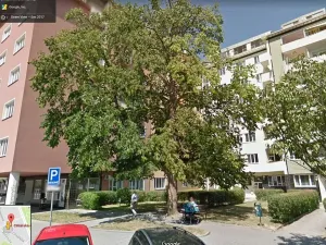 Pronájem bytu 2+1, Brno, Cihlářská, 57 m2