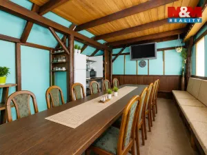 Prodej komerčního pozemku, Krucemburk - Staré Ransko, 21872 m2