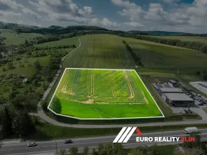 Prodej komerčního pozemku, Lípa, 14247 m2