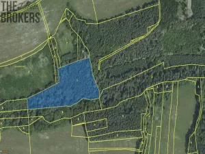 Prodej lesa, Hracholusky, 21 m2