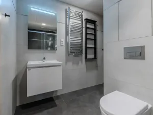 Pronájem bytu 1+kk, Praha - Žižkov, Malešická, 39 m2