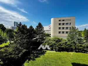 Pronájem bytu 2+kk, Brno, třída Generála Píky, 40 m2