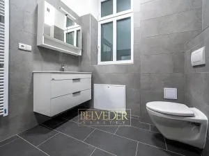 Pronájem bytu 3+kk, Teplice, Pražská, 44 m2
