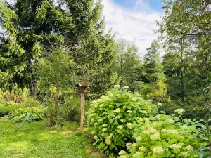 Prodej chalupy, Horní Kalná, 126 m2