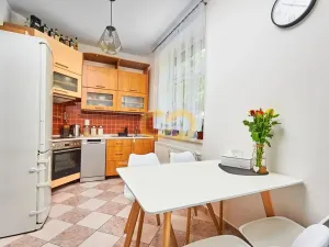 Prodej bytu 2+kk, Prachatice, Vokova, 60 m2
