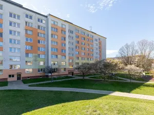 Pronájem bytu 2+1, Opava, Černá, 43 m2
