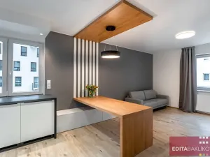 Pronájem bytu 2+kk, Olomouc, Eduarda Hamburgera, 57 m2
