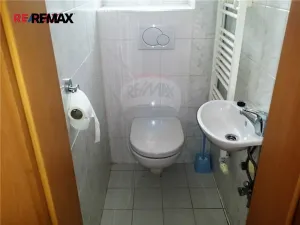 Pronájem bytu 1+1, Praha - Holešovice, U papírny, 50 m2