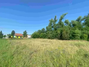 Dražba pozemku pro bydlení, Moravský Písek, 2722 m2