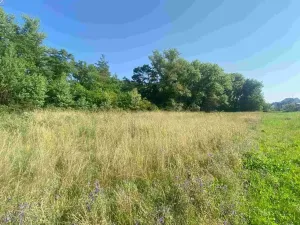 Dražba pozemku pro bydlení, Moravský Písek, 2722 m2