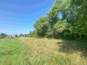 Dražba pozemku pro bydlení, Moravský Písek, 2722 m2