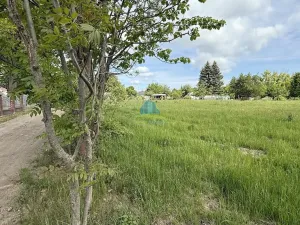 Prodej zahrady, Františkovy Lázně - Horní Lomany, Horní, 1146 m2