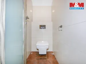 Prodej rodinného domu, Cheznovice, 227 m2