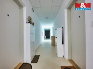 Prodej bytu 3+kk, Rostěnice-Zvonovice - Rostěnice, 53 m2