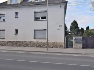 Prodej bytu 3+kk, Ptice, Hlavní, 80 m2