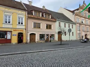 Pronájem bytu 3+1, Planá, 105 m2