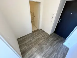 Prodej bytu 1+kk, Brno, Drobného, 38 m2