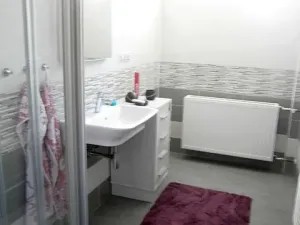 Pronájem bytu 1+1, Hranice, Farní, 55 m2