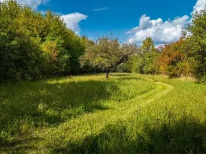Prodej pozemku pro bydlení, Uhersko, 3765 m2