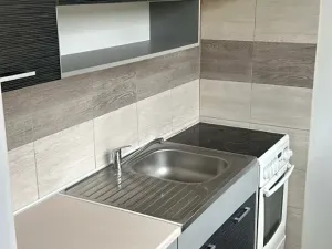 Prodej bytu 1+1, Most, K. H. Borovského, 21 m2