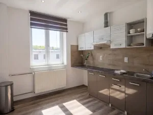 Pronájem bytu 1+1, Teplice, Duchcovská, 48 m2