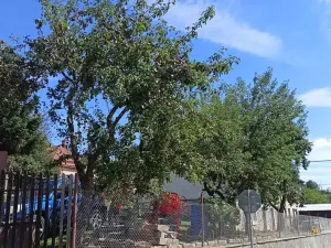 Prodej rodinného domu, Malý Beranov, 90 m2