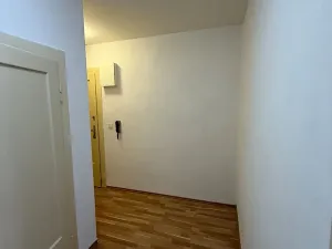 Pronájem bytu 1+kk, Praha - Nusle, Žateckých, 40 m2