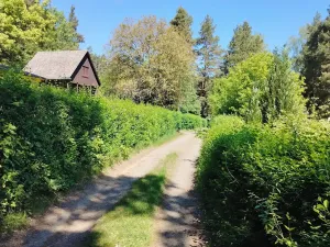 Prodej chaty, Stříbro, 39 m2