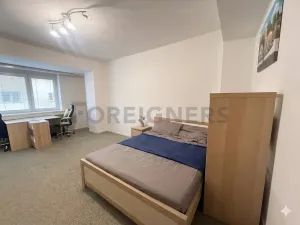 Pronájem bytu 1+1, Brno, Mezírka, 50 m2
