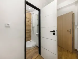 Prodej bytu 2+1, Brno, Výstavní, 55 m2