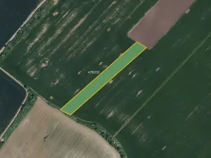 Prodej pole, Hustopeče, 10150 m2