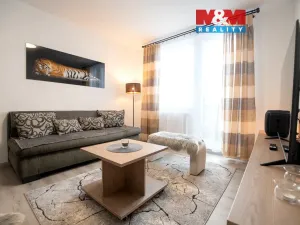 Pronájem bytu 1+1, Radvanice, 36 m2