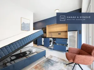 Pronájem bytu 1+kk, Brno, Koliště, 22 m2