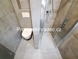 Pronájem bytu 1+1, Hradec Králové, Všehrdova, 39 m2