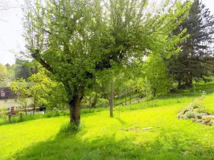 Pronájem bytu 4+kk, Janovice v Podještědí, 80 m2