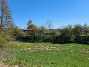 Prodej komerčního pozemku, Letovice, 2136 m2