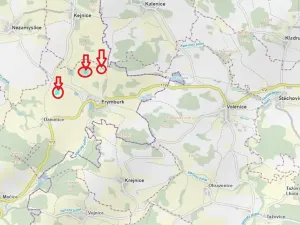 Prodej podílu lesa, Frymburk, 7982 m2