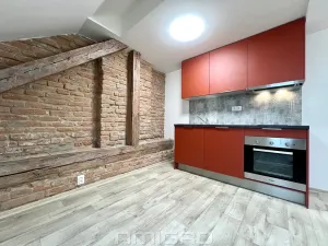 Pronájem bytu 1+kk, Brno, Bašty, 34 m2