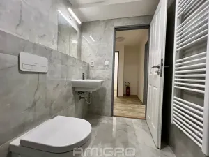 Pronájem bytu 1+kk, Brno, Bašty, 34 m2