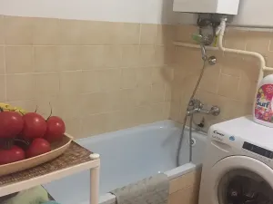 Pronájem bytu 3+kk, Lovosice, U Nadjezdu, 55 m2