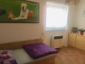 Pronájem bytu 3+kk, Lovosice, U Nadjezdu, 55 m2