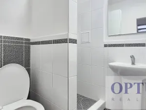 Pronájem rodinného domu, Praha - Háje, K jezeru, 302 m2