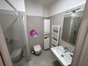 Pronájem bytu 1+kk, Olomouc, Wolkerova, 30 m2