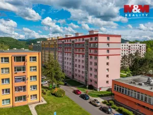 Prodej bytu 1+1, Ústí nad Labem, Peškova, 35 m2