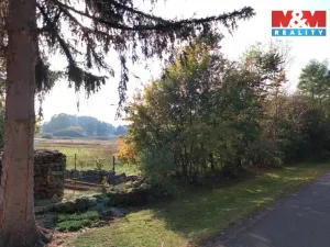Prodej louky, Petrovice - Obděnice, 7011 m2
