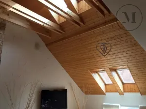 Pronájem bytu 3+kk, České Budějovice, Branišovská, 140 m2