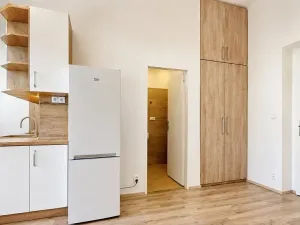 Pronájem bytu 2+kk, Praha - Nusle, Boleslavova, 37 m2
